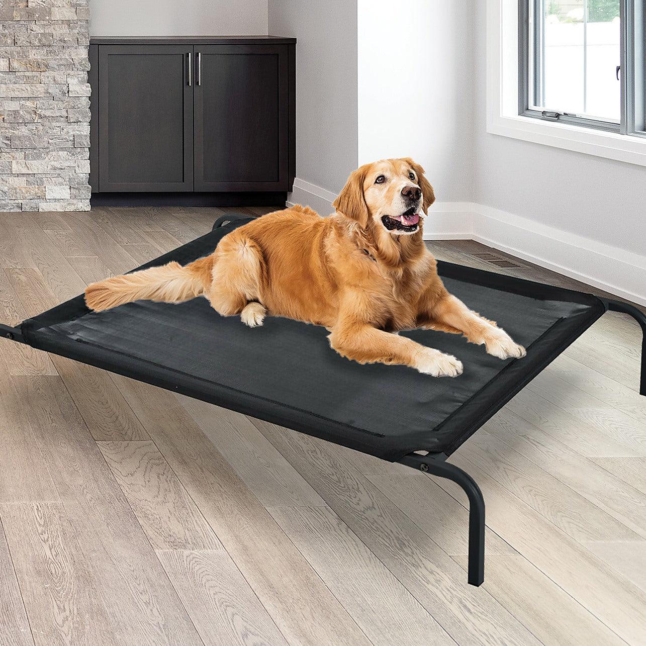Elevated Dog Bed for Large Dogs – Folding Mesh Pet Cot